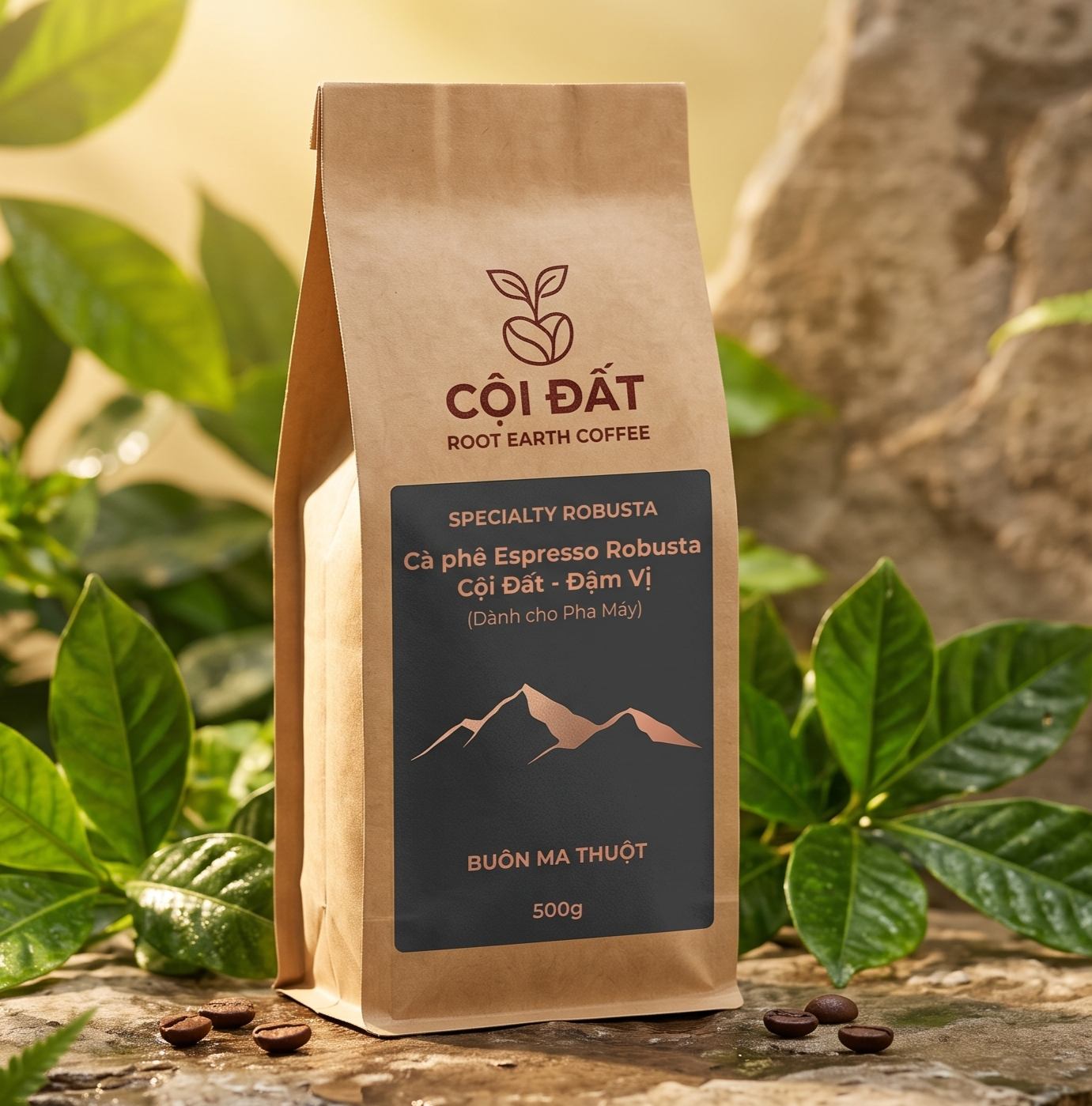 Robusta Máy Đậm Đà